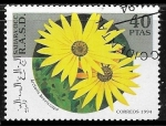 Stamps Morocco -  Flores - Arctotis breviscapa
