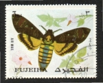 Sellos de Asia - Emiratos rabes Unidos -  7  FUJEIRA  Mariposa