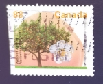 Stamps : America : Canada :  Arbol