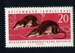 Stamps Germany -  Soricidae
