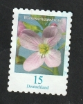 Stamps Germany -  3203 - Flor, Limnanthes alba