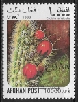 Stamps Afghanistan -  Cactus - Erdisia tenuicula