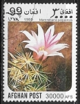 Stamps : Asia : Afghanistan :  Cactus - Mammillaria yaquensis