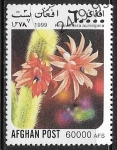 Stamps Afghanistan -  Cactus - Hildewintera aureispina)