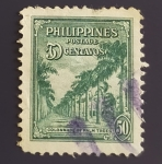 Sellos de Asia - Filipinas -  Palmeras