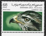 Stamps Morocco -  Avez, Buteo buteo