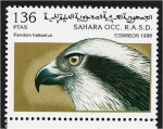 Stamps Morocco -  Avez, Pandion haliaetuus