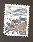 Stamps Canada -  INTERCAMBIO