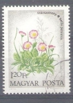 Stamps Hungary -  flores MANUEL BRIONES