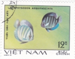 Stamps Vietnam -  peces tropicales
