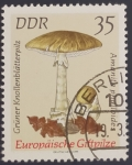 Stamps Germany -  Hongos y setas