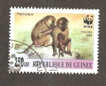 Sellos de Africa - Guinea -  INTERCAMBIO