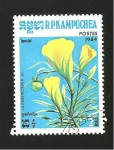 Stamps Cambodia -  CAMBIADO DM