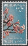 Stamps : Africa : Somalia :  flores