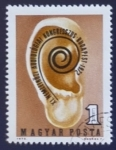 Stamps Hungary -  Congreso