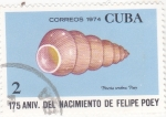 Stamps : America : Cuba :  CARACOLA