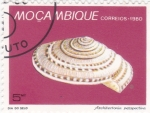 Sellos de Africa - Mozambique -  CARACOLA