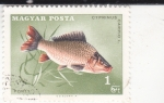 Sellos de Europa - Hungra -  PEZ- CARPA
