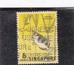 Stamps : Asia : Singapore :  pez