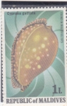 Stamps : Asia : Maldives :  CARACOLA