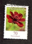 Stamps Germany -  INTERCAMBIO