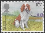 Stamps United Kingdom -  Reino Unido