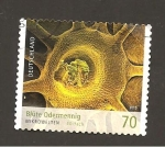 Stamps Germany -  INTERCAMBIO