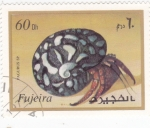 Stamps United Arab Emirates -  CARACOL DE MAR