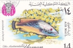 Stamps Yemen -  PEZ
