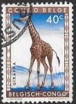 Sellos de Africa - Repblica Democrtica del Congo -  Congo Belga