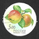 Sellos del Mundo : Europa : Rusia : 6791 - Manzanas