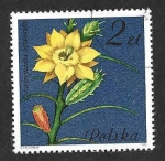 Stamps Poland -  2495 - Tasajillo