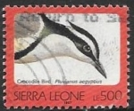 Sellos de Africa - Sierra Leona -  aves