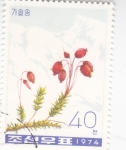 Stamps North Korea -  FLORES