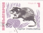 Stamps Bulgaria -  marsupial