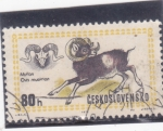 Stamps Czechoslovakia -  muflon