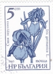 Sellos de Europa - Bulgaria -  FLORES-Iris germanica