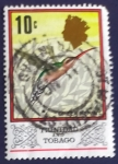 Stamps : America : Trinidad_y_Tobago :  Pajaros