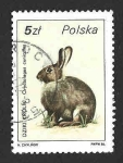Stamps Poland -  2720 - Conejo Común