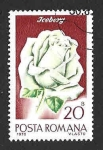 Sellos de Europa - Rumania -  2192 - Rosa Iceberg