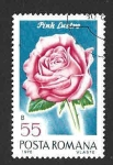Stamps Romania -  2194 - Rosa Brillante