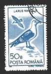 Sellos de Europa - Rumania -  3639 - Gavión Atlántico