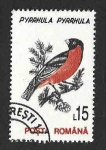 Stamps Romania -  3814 - Camachuelo Común