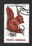 Stamps Romania -  3837 - Ardilla Roja