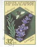 Stamps Bulgaria -  FLORES Lavanda Inglesa (Lavanda Vera)