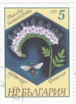 Stamps Bulgaria -  FLORES-Lacy phacelia (Phacelia tanacetifolia)