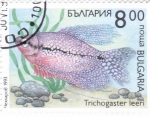 Stamps Bulgaria -  PEZ