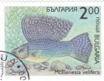 Stamps Bulgaria -  PEZ