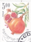 Stamps Bulgaria -  Granada (Punica granatum)