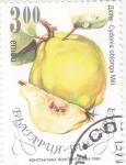 Stamps Bulgaria -  Quince (Cydonia oblonga)